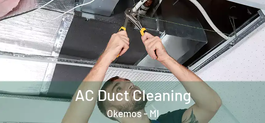  AC Duct Cleaning Okemos - MI