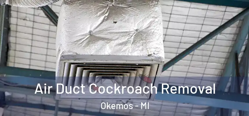  Air Duct Cockroach Removal Okemos - MI
