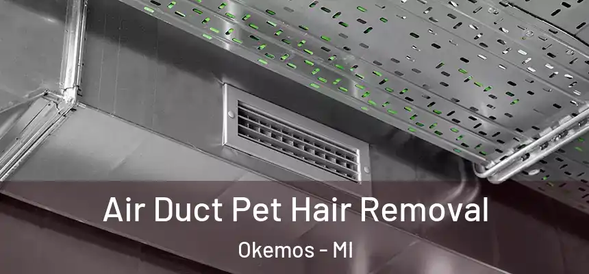  Air Duct Pet Hair Removal Okemos - MI