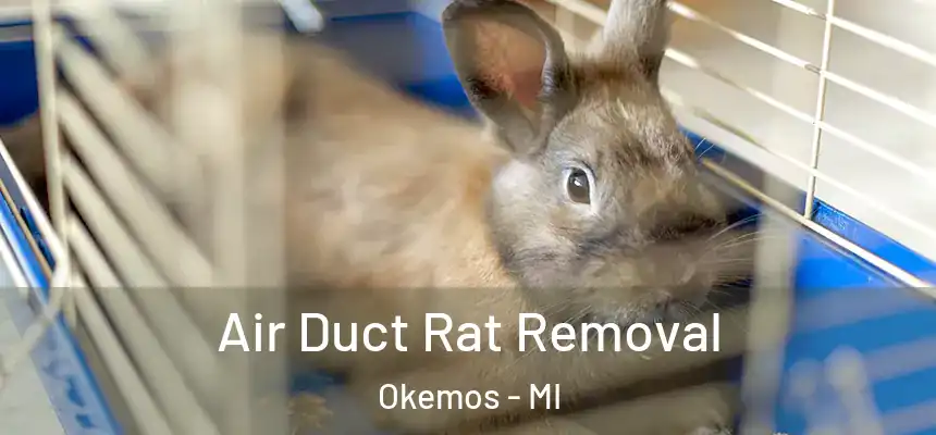  Air Duct Rat Removal Okemos - MI