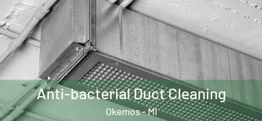  Anti-bacterial Duct Cleaning Okemos - MI