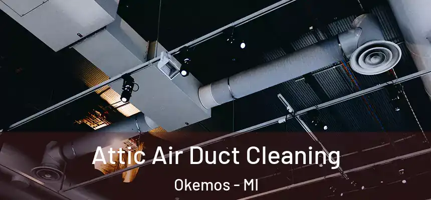  Attic Air Duct Cleaning Okemos - MI