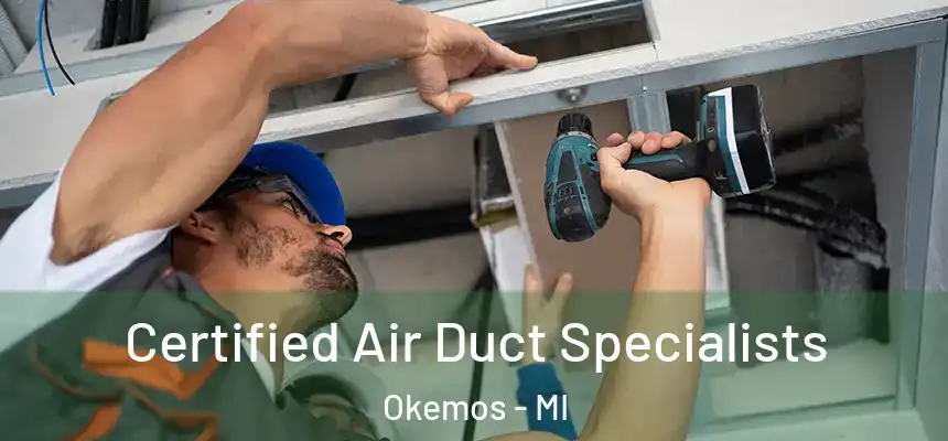 Certified Air Duct Specialists Okemos - MI
