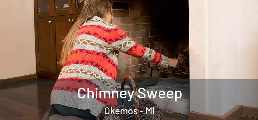 Chimney Sweep Okemos - MI