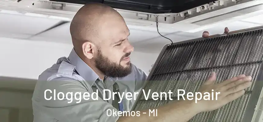 Clogged Dryer Vent Repair Okemos - MI