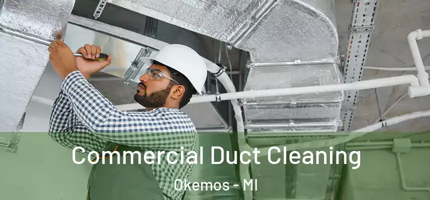Commercial Duct Cleaning Okemos - MI