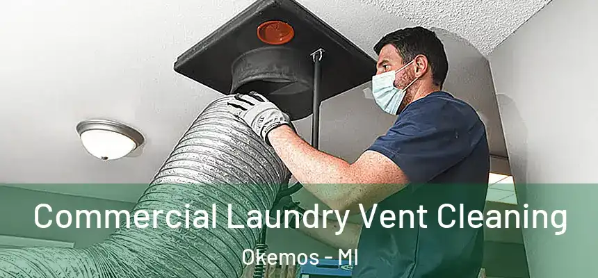  Commercial Laundry Vent Cleaning Okemos - MI