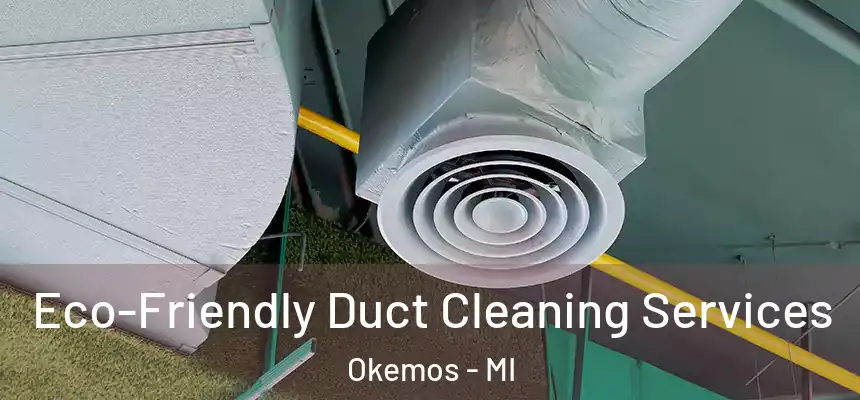 Eco-Friendly Duct Cleaning Services Okemos - MI