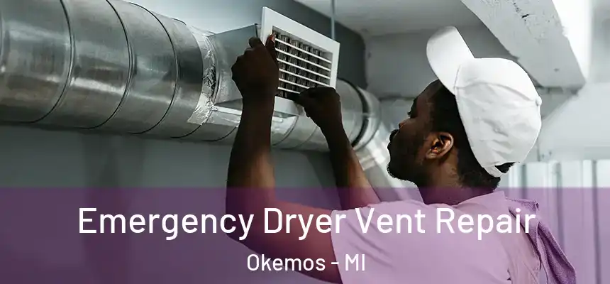  Emergency Dryer Vent Repair Okemos - MI