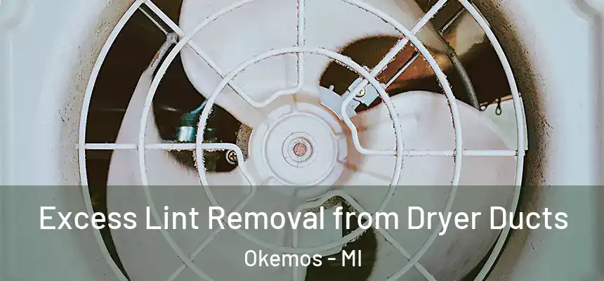  Excess Lint Removal from Dryer Ducts Okemos - MI
