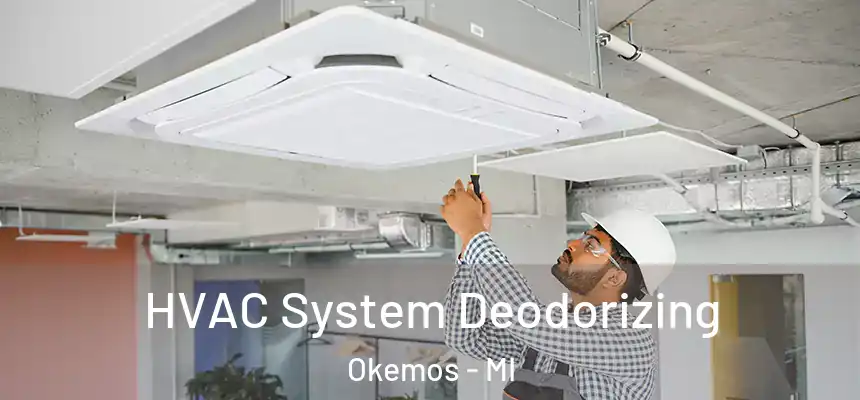 HVAC System Deodorizing Okemos - MI