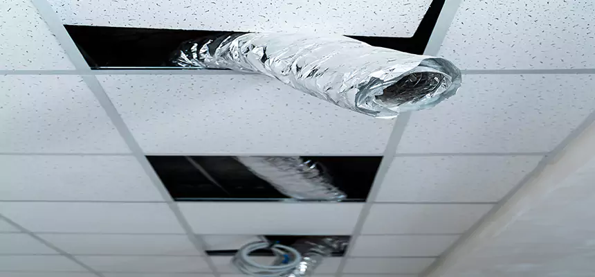 Affordable HVAC Sanitizing After Pest Removal in Okemos