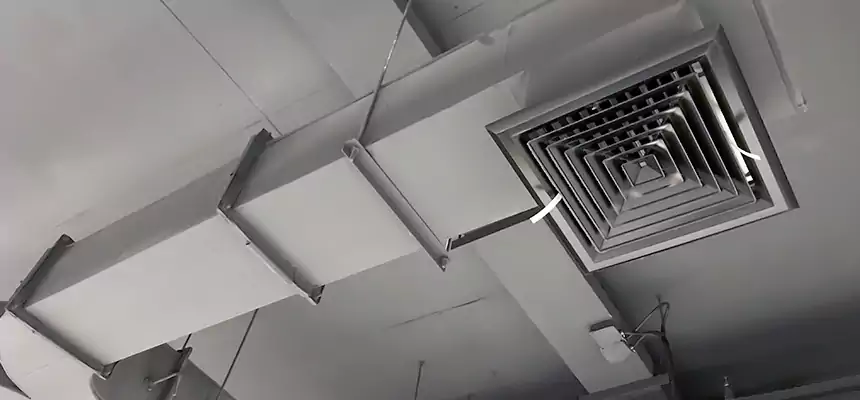 Restorative Allergy Relief Vent Cleaning – Coil, Blower & Housing Detail in Okemos