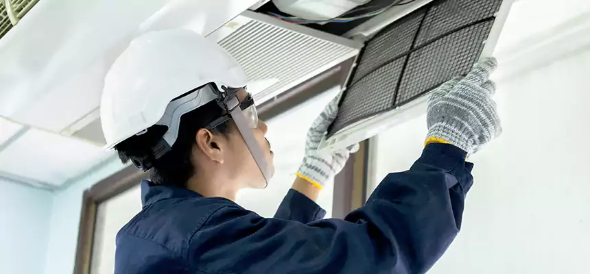 Our Mold & Mildew Removal from Air Ducts Services in Okemos, MI