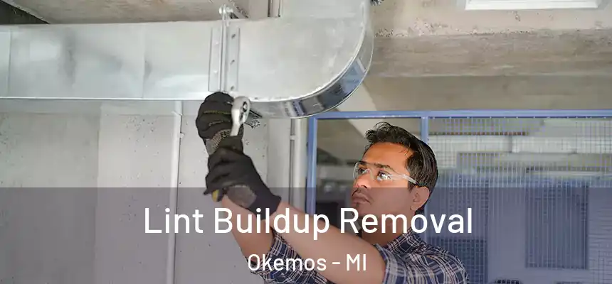 Lint Buildup Removal Okemos - MI