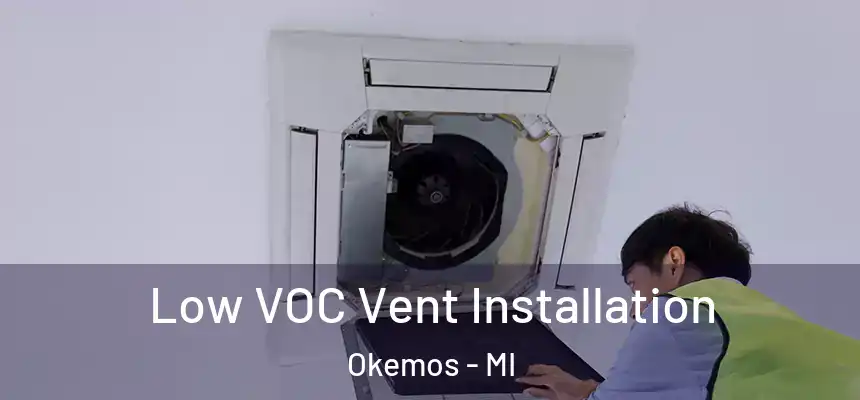  Low VOC Vent Installation Okemos - MI
