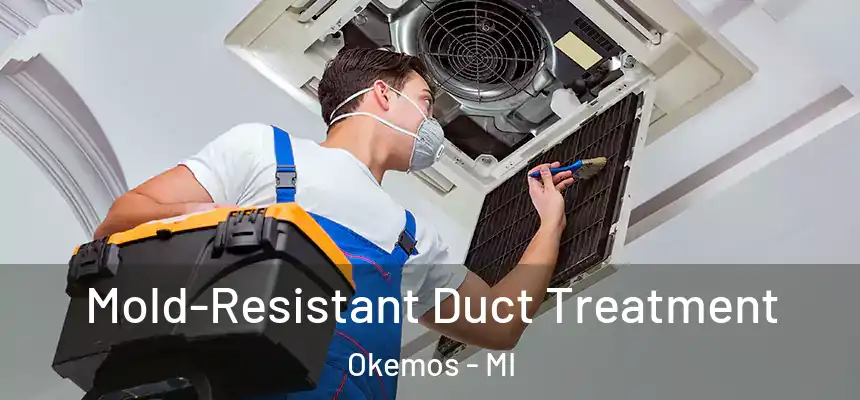  Mold-Resistant Duct Treatment Okemos - MI