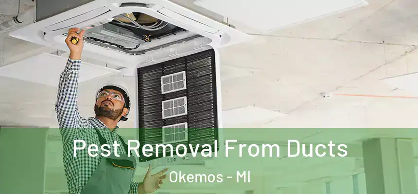  Pest Removal From Ducts Okemos - MI