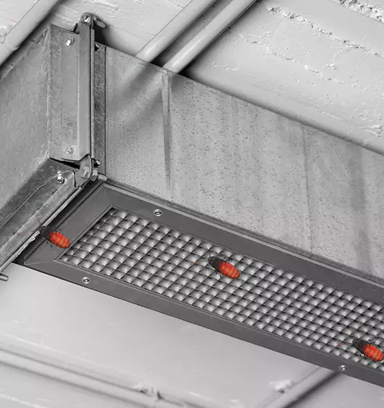 About Air Duct Cockroach Removal in Okemos, MI