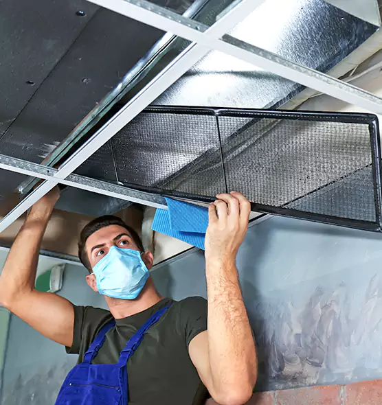 Professional Air Duct Pollen Cleaning in Okemos, MI