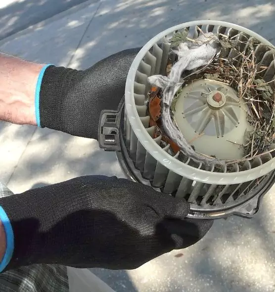 About Air Duct Rat Removal in Okemos, MI