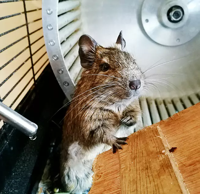 Why Homeowners & Businesses Trust Us Okemos, MI?