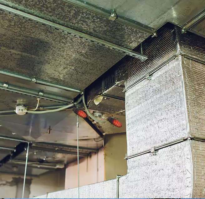 Why Homeowners & Businesses Trust Us Okemos, MI?