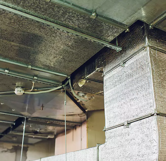 Why Homeowners & Businesses Trust Us in Okemos, MI?