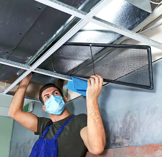 Why Homeowners Businesses Trust Us in Okemos, MI