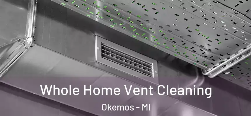 Whole Home Vent Cleaning Okemos - MI